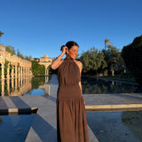 Paloma Dress in Brown