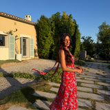 Siena Dress in Blue and Red