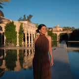 Paloma Dress in Brown