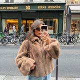 Copenhagen Coat in Taupe