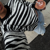 Zebra Knit Sweater